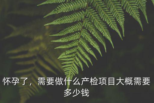 懷孕了，需要做什么產檢項目大概需要多少錢