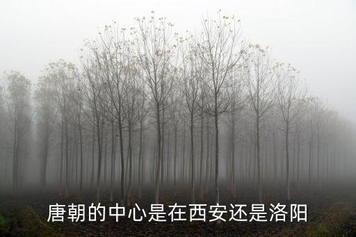 洛陽東都是怎么設(shè)計(jì)的,洛陽是唐朝的國都嗎