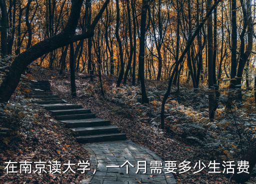 南京大學(xué)生代購(gòu)多少錢,在南京上大學(xué)一年要花多少錢