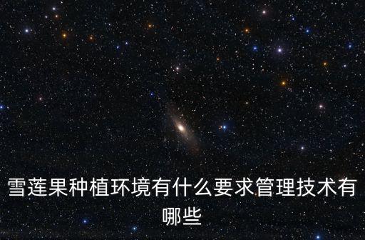 雪蓮果種植環(huán)境有什么要求管理技術(shù)有哪些
