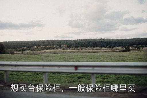 想買臺保險柜，一般保險柜哪里買