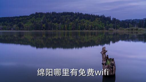 智能開關綿陽哪里有,綿陽哪里有免費wifi