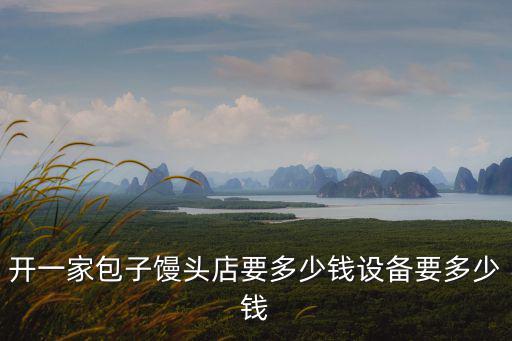 開一家包子饅頭店要多少錢設(shè)備要多少錢