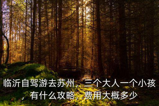 臨沂到蘇州自駕需要多少費用是多少錢,臨沂自駕游去蘇州