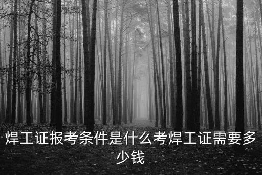 南京高壓焊工證快速考證多少錢,考焊工證需要多少錢