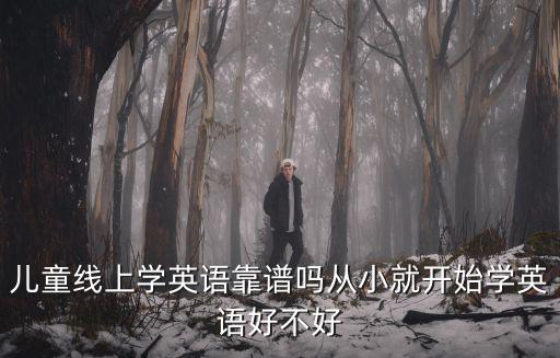 開封在線英語兒童怎么學得好,兒童線上學英語靠譜嗎