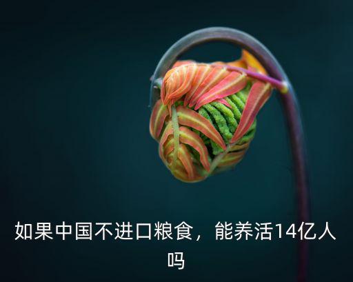河南收的麥子能養活多少人,大概能養活多少人