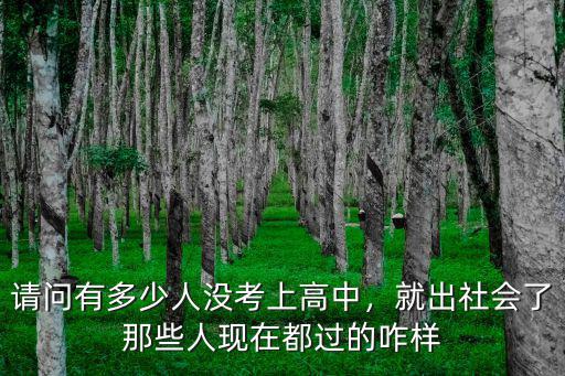 淮安市多少人沒考上高中,請問有多少人沒考上高中