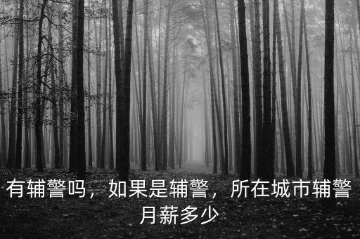 鹽城市有多少輔警,輔警究竟有什么魅力