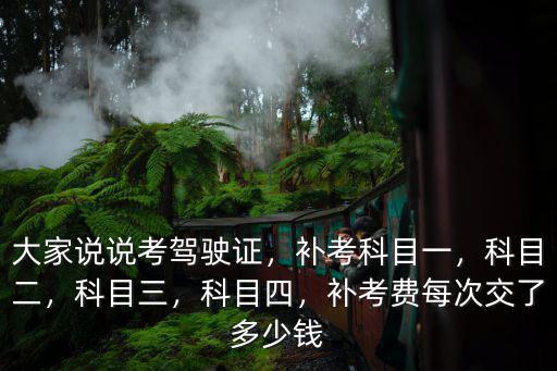 大家說說考駕駛證，補考科目一，科目二，科目三，科目四，補考費每次交了多少錢