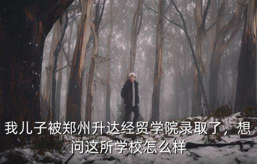 我兒子被鄭州升達經貿學院錄取了，想問這所學校怎么樣