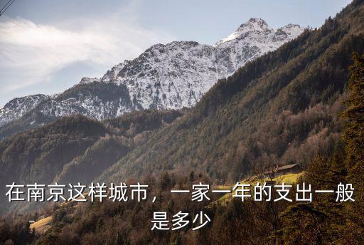南京一般家庭房貸多少,一家一年的支出一般是多少