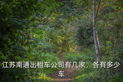 南通出租車(chē)車(chē)公司電話是多少錢(qián)一個(gè)月,一個(gè)月平均能賺多少錢(qián)