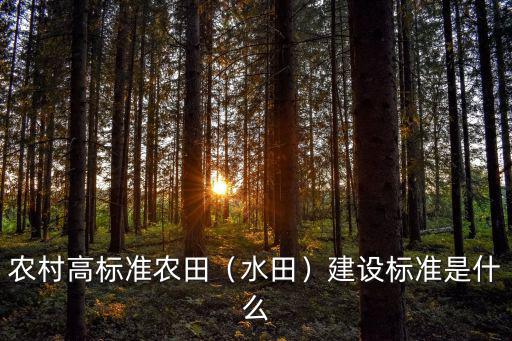 農(nóng)村高標(biāo)準(zhǔn)農(nóng)田（水田）建設(shè)標(biāo)準(zhǔn)是什么