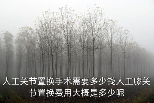 人工關節置換手術需要多少錢人工膝關節置換費用大概是多少呢