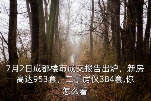 成都樓市成交數據在哪里看,7月25日成都樓市成交