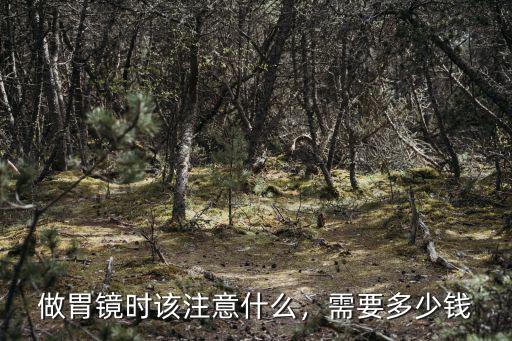 徐州市做小腸鏡多少錢,做腸鏡要花多少錢
