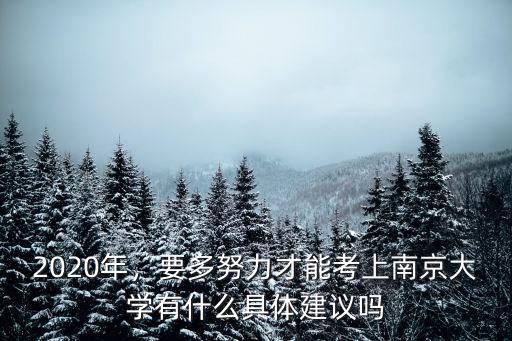 2020年，要多努力才能考上南京大學有什么具體建議嗎