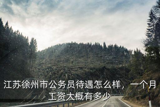 江蘇公務員一個月多少,一個月工資大概有多少