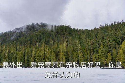 安陽哪里有寵物寄養的地方,寵物寄養服務的介紹是怎樣的