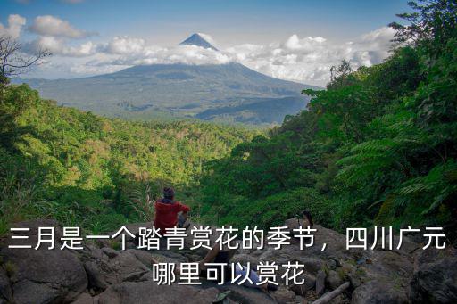 廣元看花哪里好,四川廣元哪里可以賞花