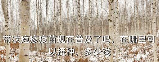 鎮江帶狀皰疹疫苗多少錢一針,上海打皰疹疫苗多少錢