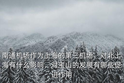 上海南通機場的規劃面積是多少,南通機場作為上海的第三機場