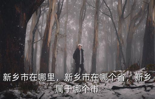 新鄉(xiāng)市衛(wèi)濱區(qū)管委會(huì)在哪里,新鄉(xiāng)市在哪里