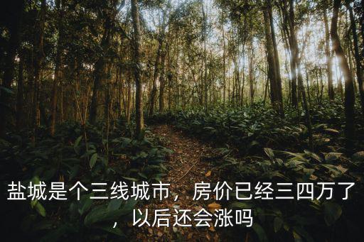 鹽城是個三線城市，房價已經三四萬了，以后還會漲嗎
