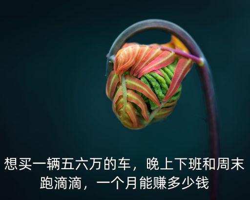 想買一輛五六萬的車，晚上下班和周末跑滴滴，一個月能賺多少錢