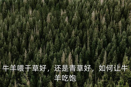 牛羊喂干草好，還是青草好，如何讓牛羊吃飽