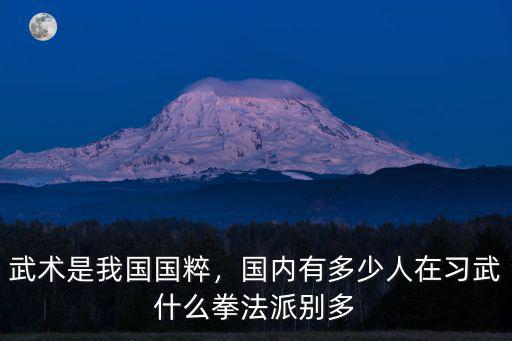 徐州習(xí)武有多少人,中國(guó)古代練武的人到底有多少