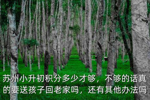 蘇州入學積分要多少才夠,蘇州的外地人積分入學容易嗎