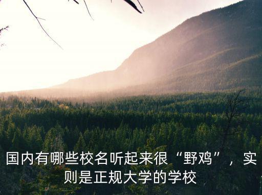 國內有哪些校名聽起來很“野雞”，實則是正規大學的學校