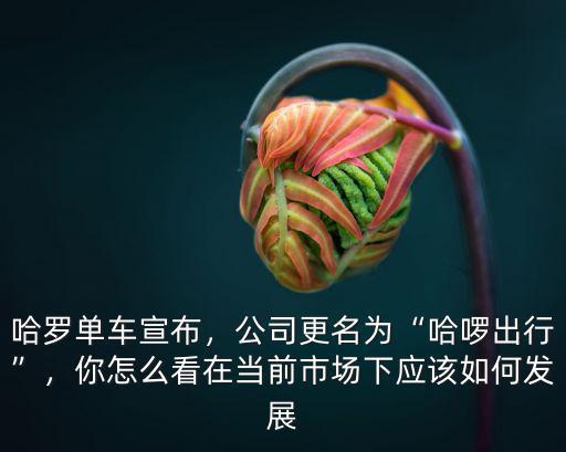 廣元哈羅單車公司在哪里,哈羅單車宣布