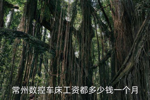 常州數控車床工資都多少錢一個月