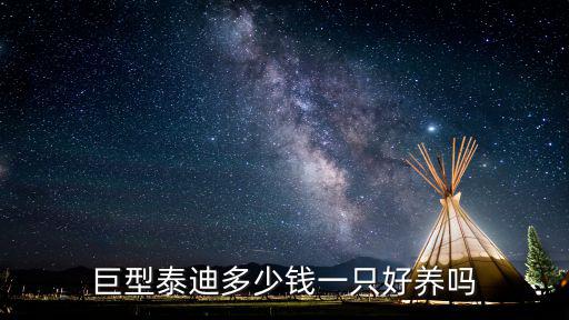 新鄉巨貴修毛多少錢,巨型泰迪多少錢一只