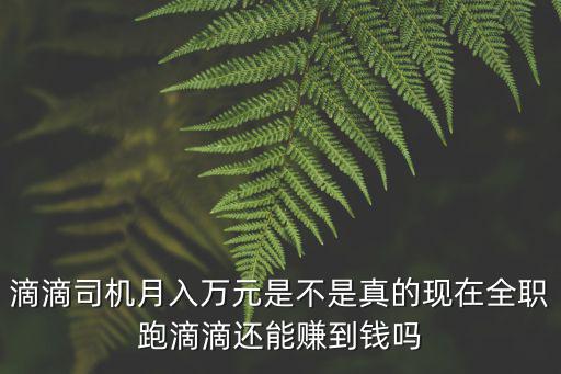 無錫滴滴司機月入多少錢,滴滴司機月入萬元是不是真的