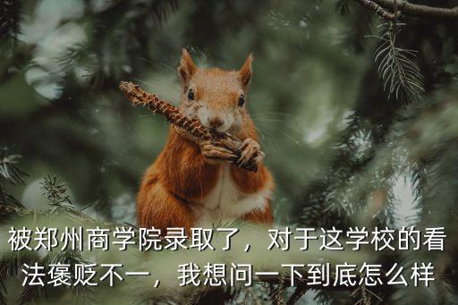 被鄭州商學院錄取了，對于這學校的看法褒貶不一，我想問一下到底怎么樣