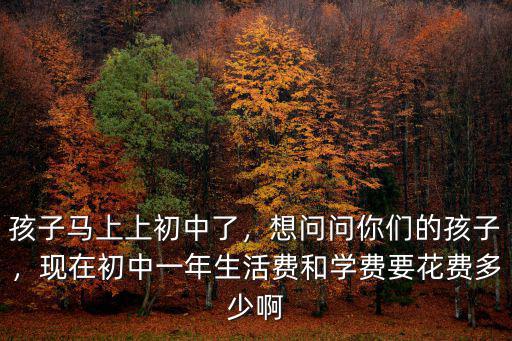 南京九龍中學(xué)上初中學(xué)費多少錢,孩子馬上上初中了