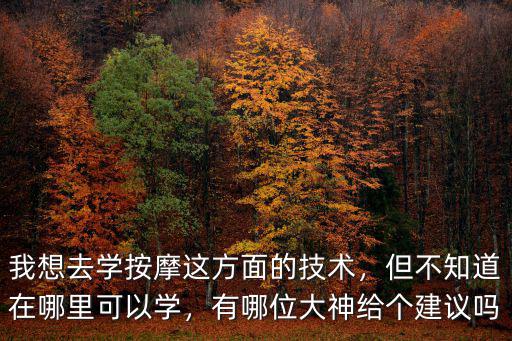 我想去學(xué)按摩這方面的技術(shù)，但不知道在哪里可以學(xué)，有哪位大神給個(gè)建議嗎