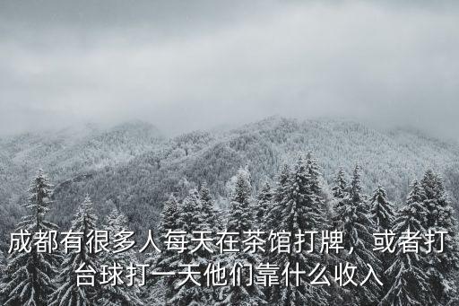 成都有錢人在哪里玩,成都有很多人每天在茶館打牌