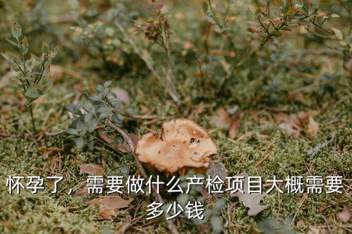 懷孕了，需要做什么產(chǎn)檢項(xiàng)目大概需要多少錢