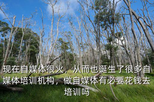 綿陽哪里有自媒體培訓班,做自媒體有必要花錢去培訓嗎