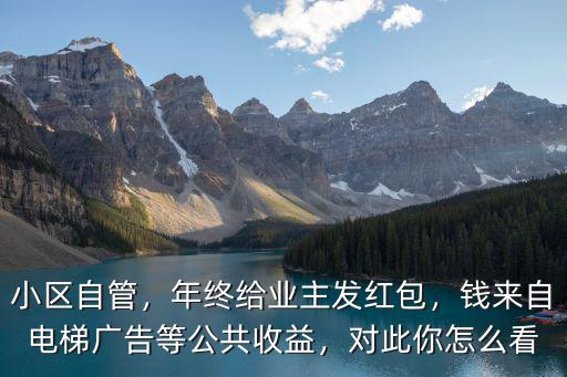 洛陽電梯廣告收益怎么用,小區(qū)電梯廣告收益要怎么用