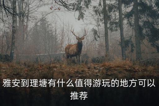 雅安哪里有相親的地方,有哪些比較好玩的地方