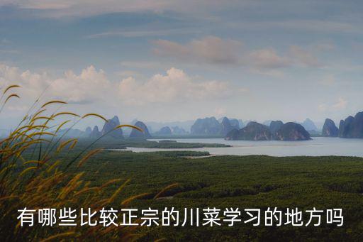有哪些比較正宗的川菜學習的地方嗎