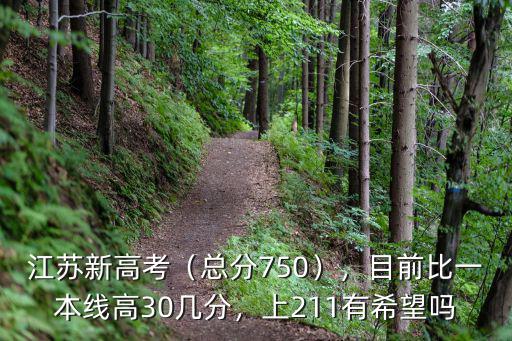 江蘇新高考（總分750），目前比一本線高30幾分，上211有希望嗎