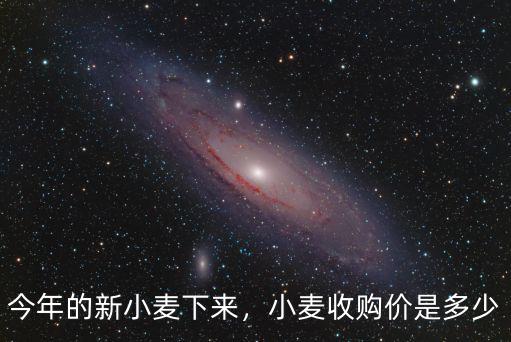 江蘇今年小麥收購價是多少,小麥收購價是多少