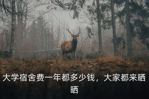 大學宿舍費一年都多少錢，大家都來曬曬